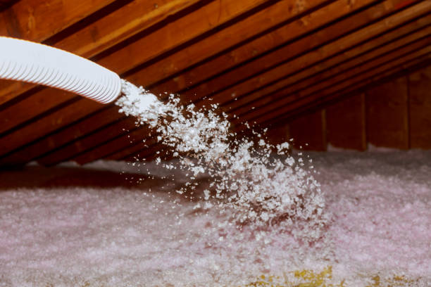Best Insulation Installation Services in Salem, VA