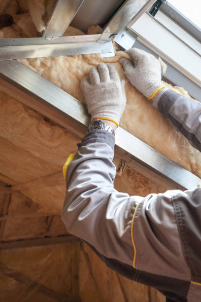 Best Commercial Insulation in Salem, VA